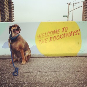 Shore Front Parkway. And my dog. 
