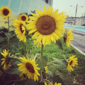 Beach 96 and SF PKWY. July 2012